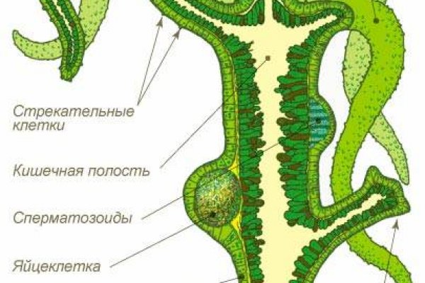 Список даркнет сайтов