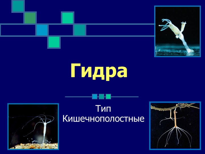 Кракен маркетплейс как зайти